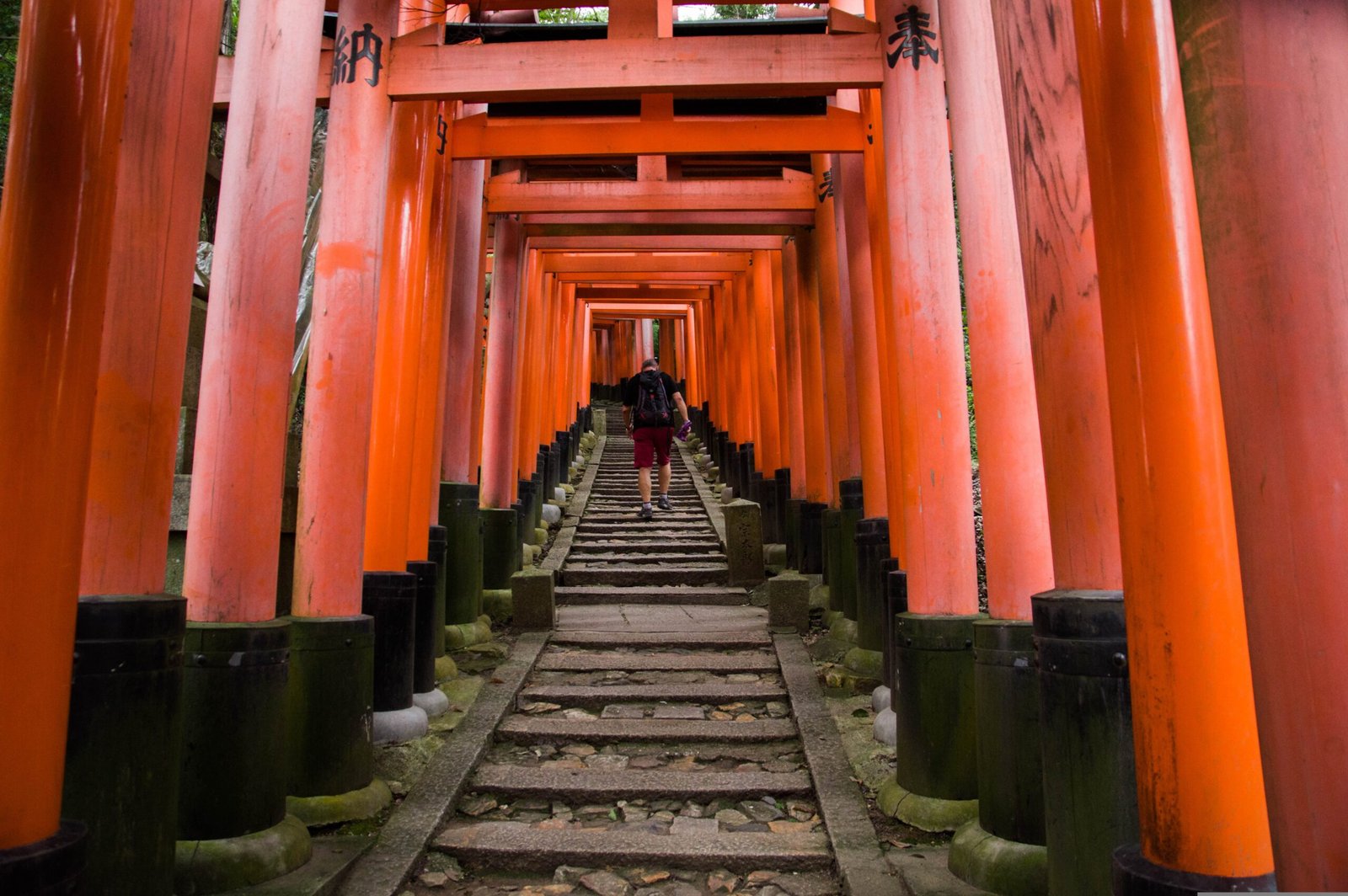 Kyoto: Where Tradition Meets Tomorrow