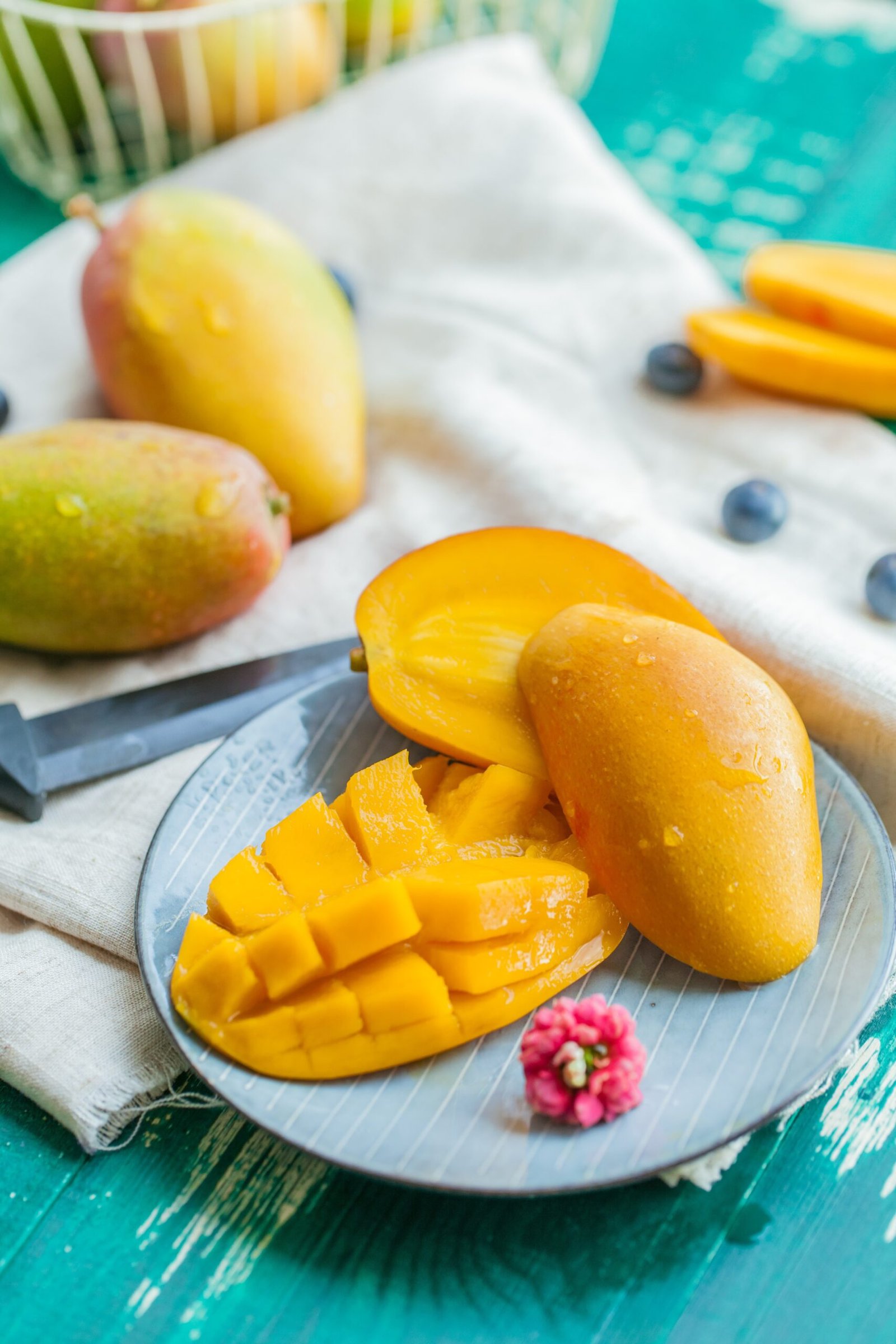 The Mango Season in India and Bangladesh