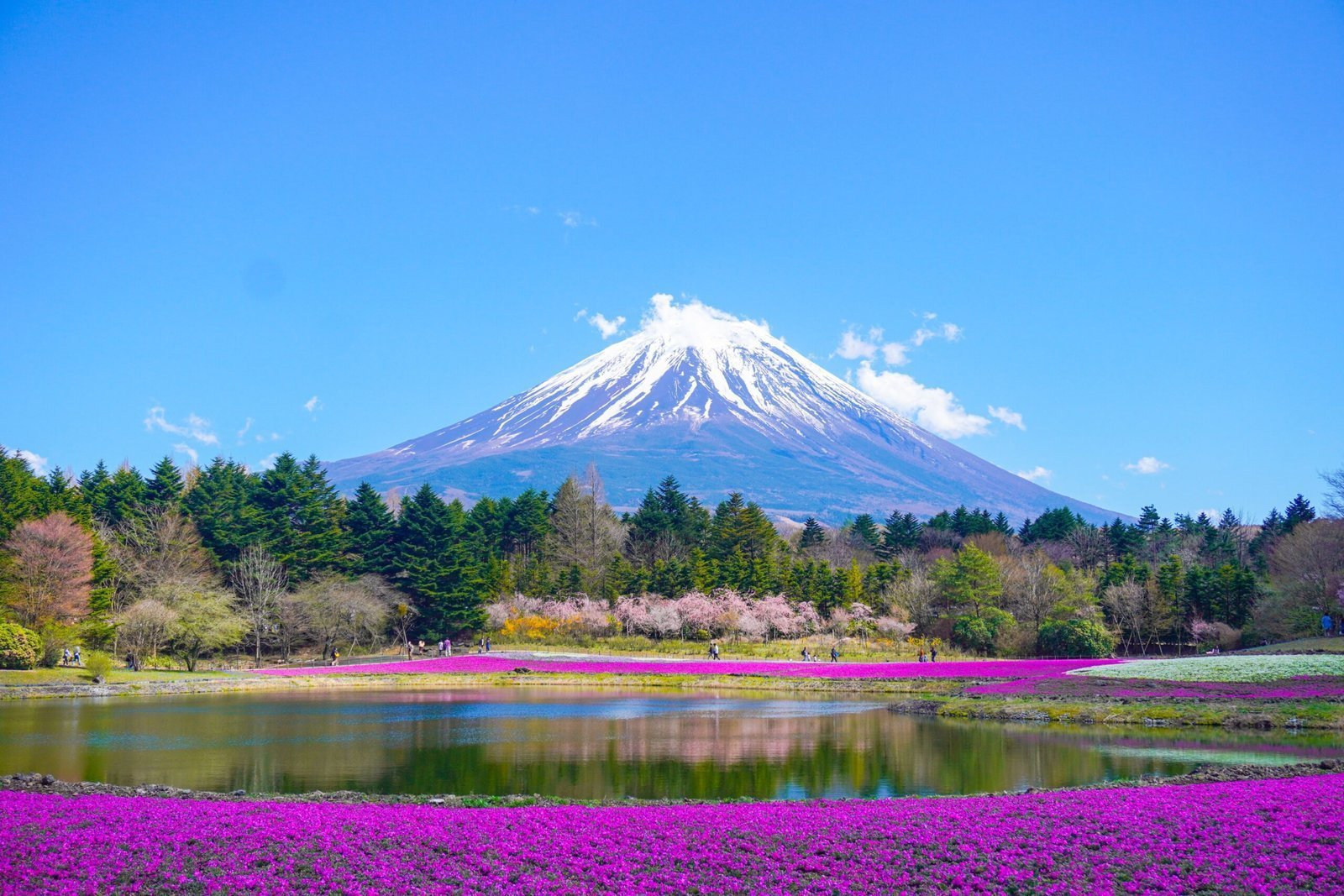 Majestic Mount Fuji: Japan’s Iconic Symbol of Beauty and Serenity