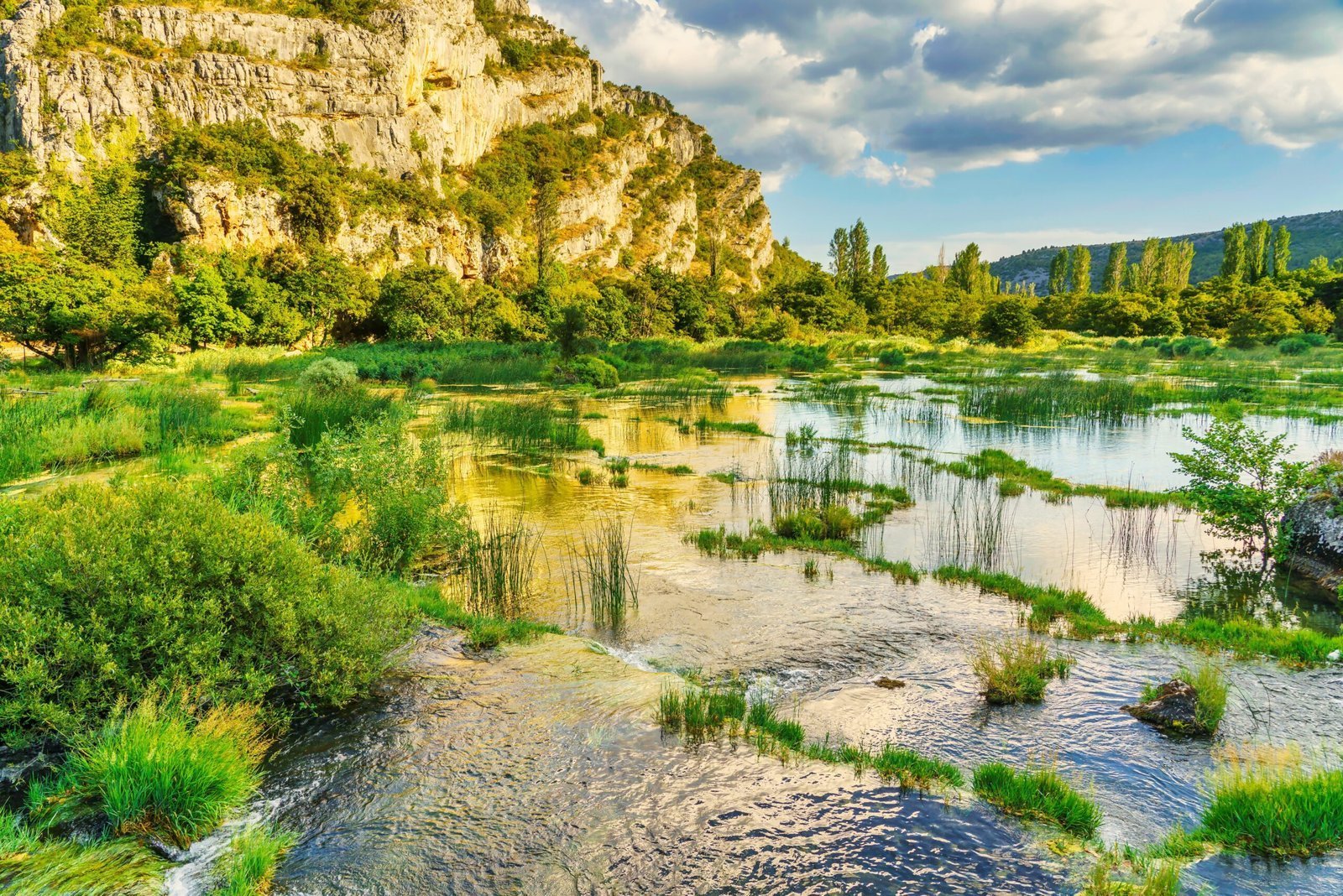 The Cleanest River in Asia: A Comprehensive Study