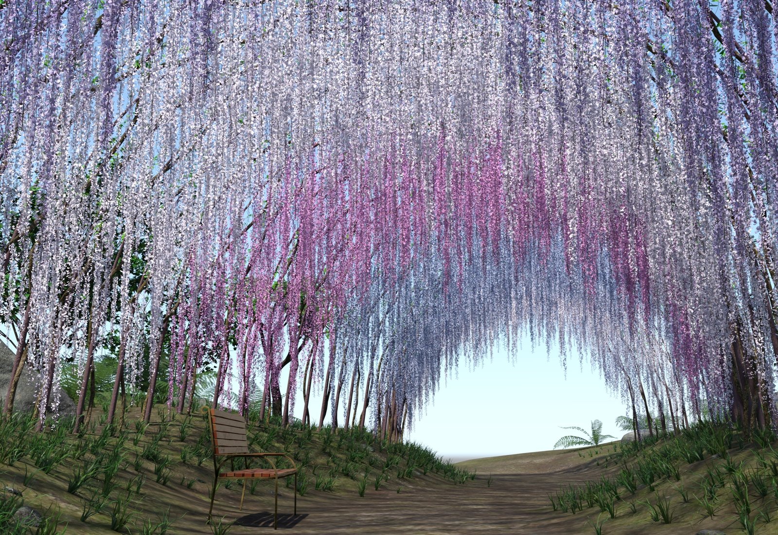 Exploring the Enchantment of the Wisteria Tunnel in Japan: A 