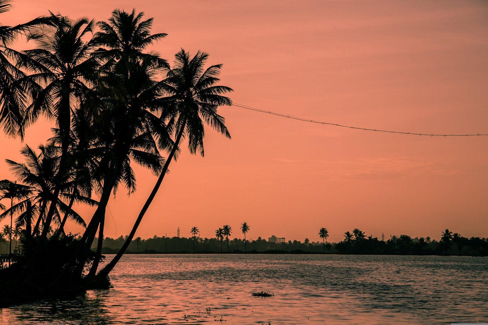 Exploring the Enchanting City of Kochi, Kerala, India