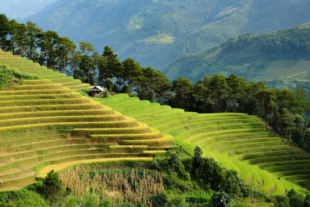 Exploring Sa Pa, Vietnam: A Traveler’s Ultimate Guide