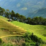 Exploring Sa Pa, Vietnam: A Traveler’s Ultimate Guide