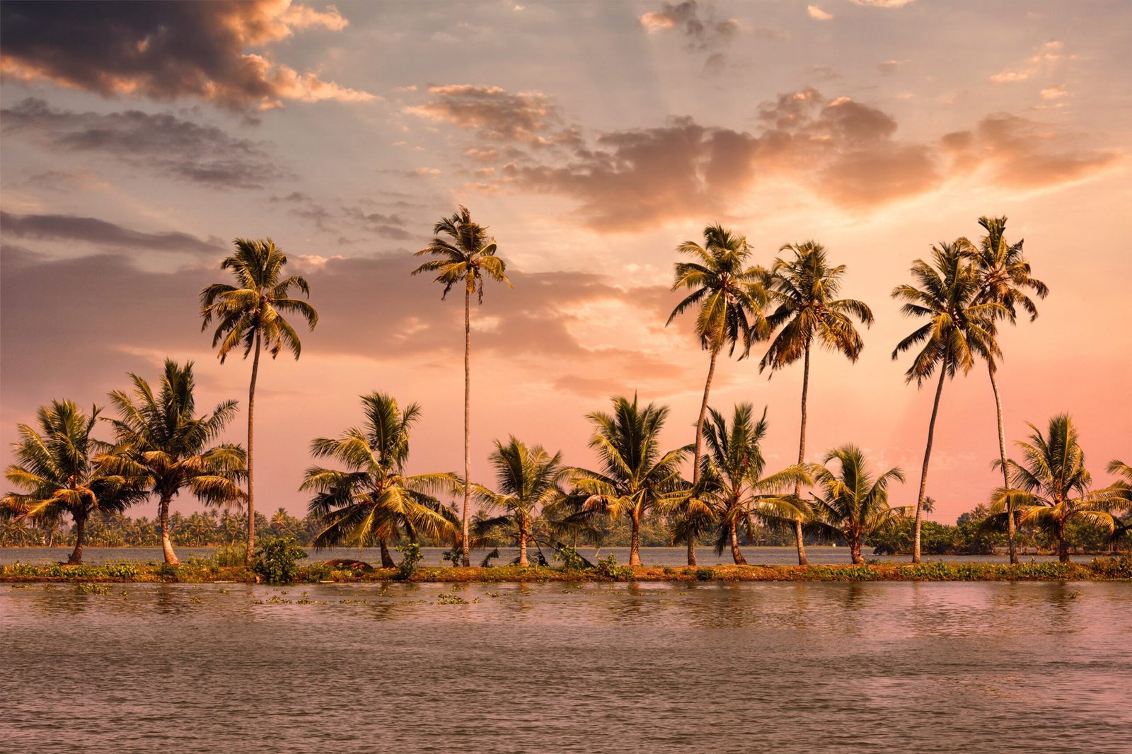 Exploring the Mystical Kerala Backwaters in India