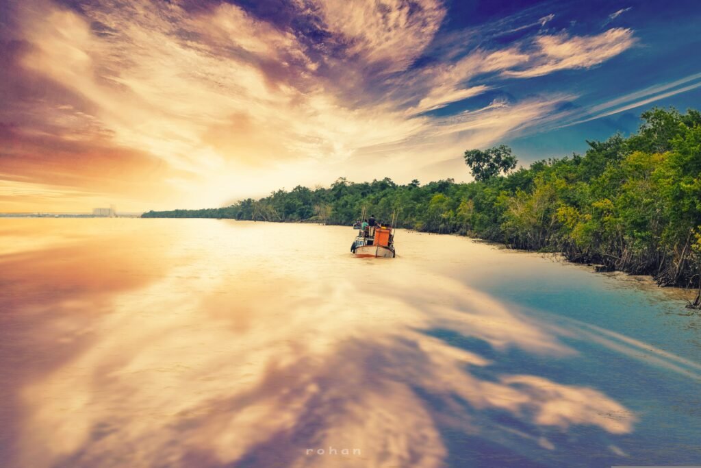 Exploring the Wonders of the Sundarbans